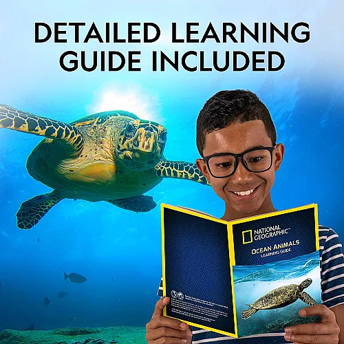 Науковий STEM набір Морфірующий пісок Океан від NATIONAL GEOGRAPHIC