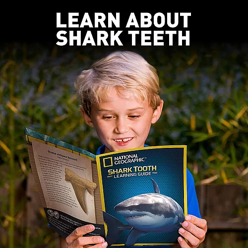 Научный STEM набор Зубы акулы от NATIONAL GEOGRAPHIC Научный STEM набор Зубы акулы от NATIONAL GEOGRAPHIC