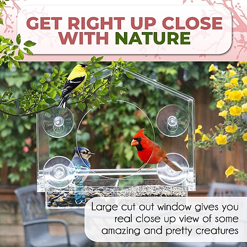 Прозора годівниця для птахів від Nature Gear Прозора годівниця для птахів від Nature Gear