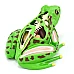Анатомическая модель лягушки от Obetty