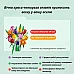 Конструктор Букет тюльпанів (576 деталей) від Obetty