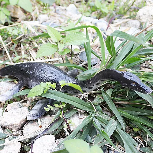 Игровая фигурка Плезиозавр черный от Obetty