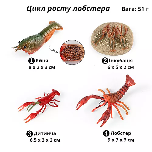 Развивающий набор фигурок Цикл роста лобстера (4 шт) от Obetty Развивающий набор фигурок Цикл роста лобстера (4 шт) от Obetty