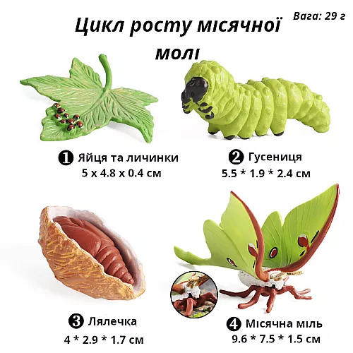 Развивающий набор фигурок Цикл роста лунной бабочки (4 шт) от Obetty Развивающий набор фигурок Цикл роста лунной бабочки (4 шт) от Obetty
