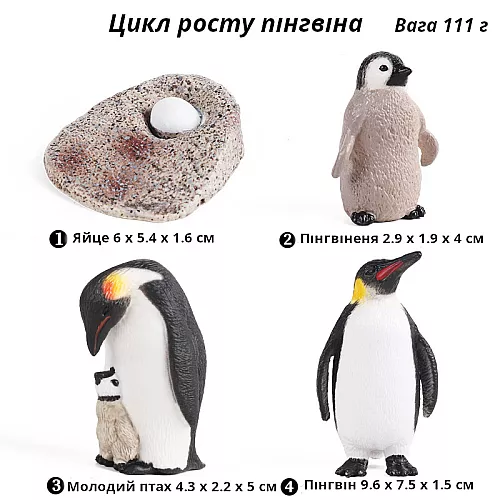 Обучающий набор фигурок Жизненный цикл пингвина (4 шт) от Obetty