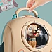Развивающий набор Домашние животные (20 шт) от Obetty