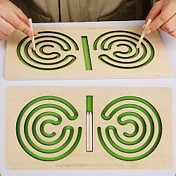 Міжпівкульна дошка №1 від Obetty