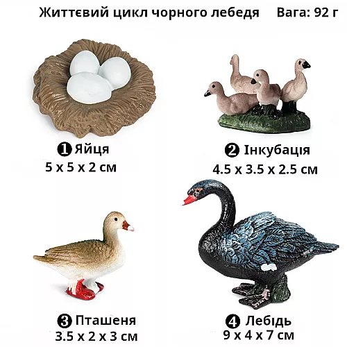 Развивающий набор фигурки Жизненный цикл черного лебедя (4 шт) от Obetty Развивающий набор фигурки Жизненный цикл черного лебедя (4 шт) от Obetty