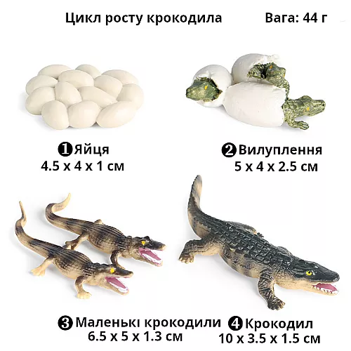 Развивающий набор фигурок Цикл роста крокодила (4 шт) от Obetty Развивающий набор фигурок Цикл роста крокодила (4 шт) от Obetty