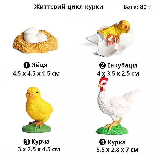 Развивающий набор фигурки Жизненный цикл курицы (4 шт) от Obetty Развивающий набор фигурки Жизненный цикл курицы (4 шт) от Obetty