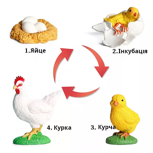 Развивающий набор фигурки Жизненный цикл курицы (4 шт) от Obetty Развивающий набор фигурки Жизненный цикл курицы (4 шт) от Obetty