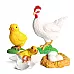 Развивающий набор фигурки Жизненный цикл курицы (4 шт) от Obetty