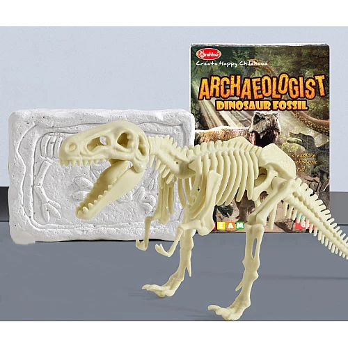 Развивающий набор раскопки Динозавр Рекс от Obetty