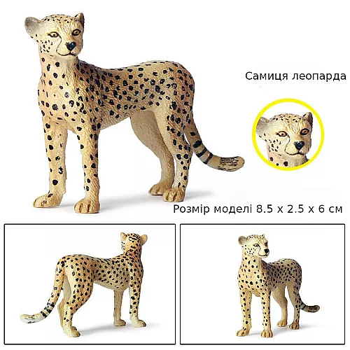 Развивающий набор фигурок Семья гепардов (5 шт) от Obetty Развивающий набор фигурок Семья гепардов (5 шт) от Obetty