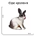 Развивающий набор фигурок Семья кроликов (5 шт) от Obetty