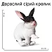 Развивающий набор фигурок Семья кроликов (5 шт) от Obetty