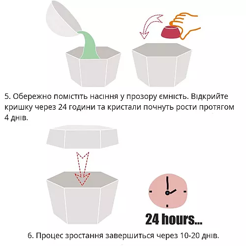 Розвиваючий STEM-набір для вирощування кристалів від Obetty Розвиваючий STEM-набір для вирощування кристалів від Obetty