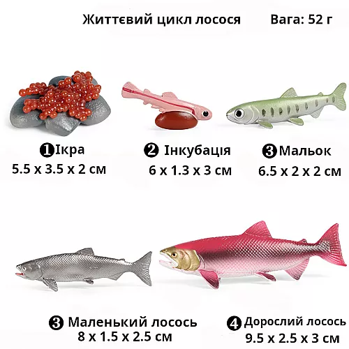 Развивающий набор фигурки Жизненный цикл лосося (5 шт) от Obetty Развивающий набор фигурки Жизненный цикл лосося (5 шт) от Obetty
