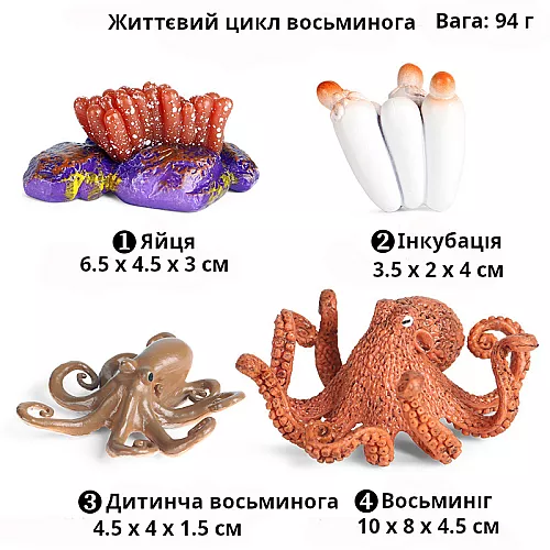 Развивающий набор фигурки Жизненный цикл осьминога (4 шт) от Obetty Развивающий набор фигурки Жизненный цикл осьминога (4 шт) от Obetty