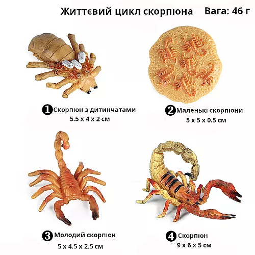 Развивающий набор фигурки Жизненный цикл скорпиона (4 шт) от Obetty Развивающий набор фигурки Жизненный цикл скорпиона (4 шт) от Obetty