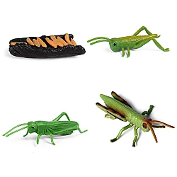Набір фігурок Життєвий цикл коника-сарани (4 шт) від Obetty