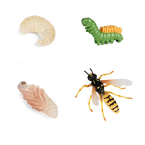 Набор фигурок Жизненный цикл осы (4 шт) от Obetty