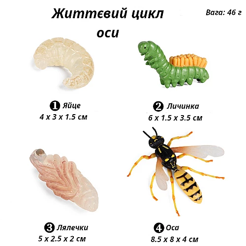 Набор фигурок Жизненный цикл осы (4 шт) от Obetty