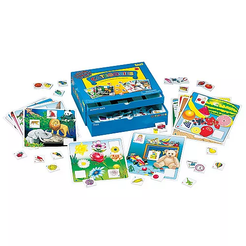 Набір для сортування Категорії (70 шт) від PlayMonster