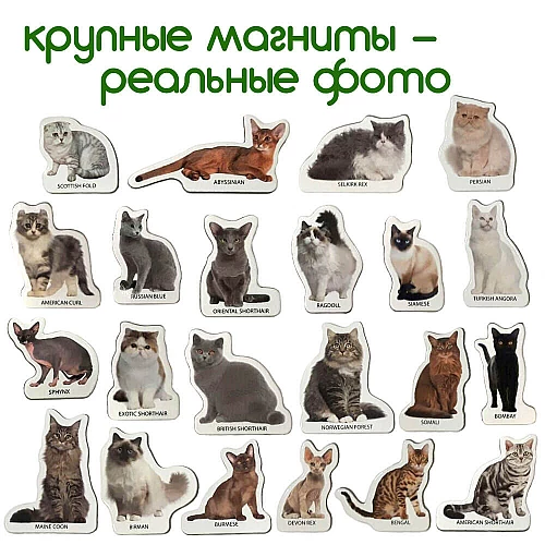 Набор магнитов Набор магнитов
