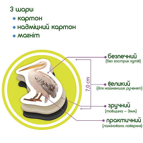 Набор магнитов Набор магнитов