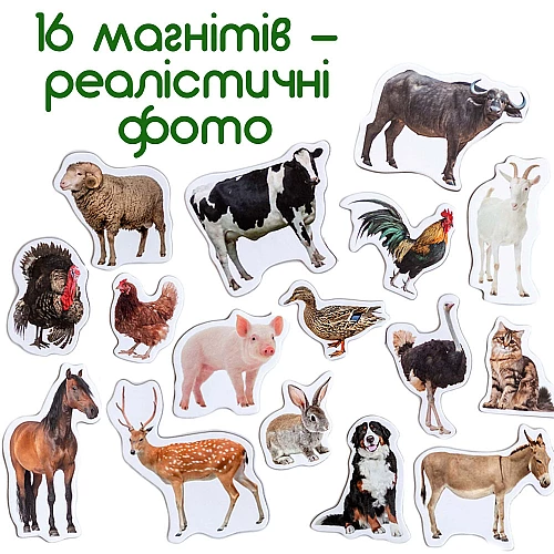 Набор магнитов Набор магнитов