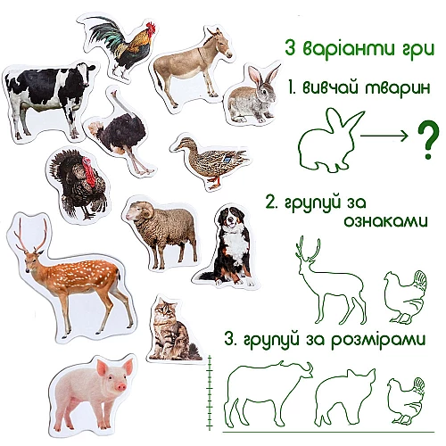 Набор магнитов Набор магнитов
