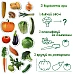 Набор магнитов