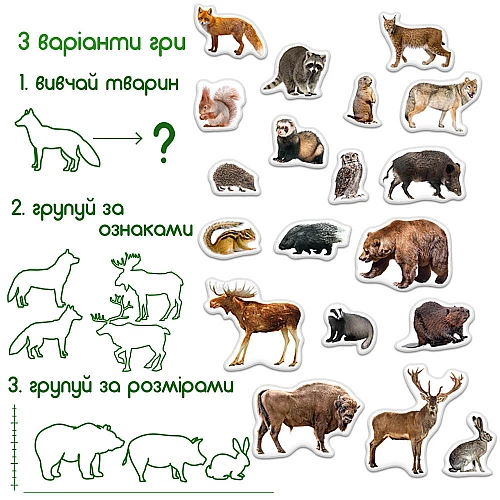 Набор магнитов Набор магнитов