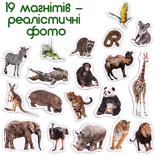 Набор магнитов Зоопарк