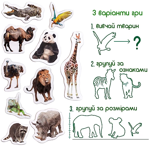 Набор магнитов Зоопарк