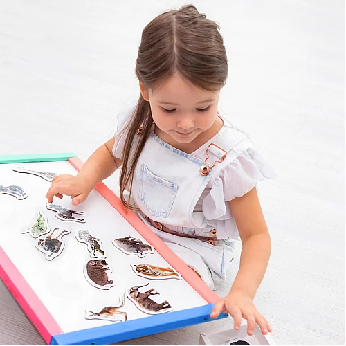 Набор магнитов Зоопарк