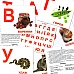 Набор карточек Домана Алфавит (34 карточки)