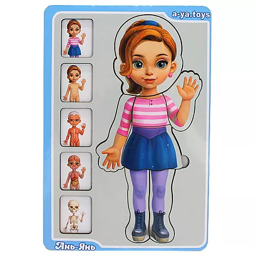 Розвиваючий п'ятишаровий пазл Анатомія людини дівчинка