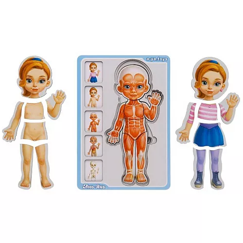 Розвиваючий п'ятишаровий пазл Анатомія людини дівчинка