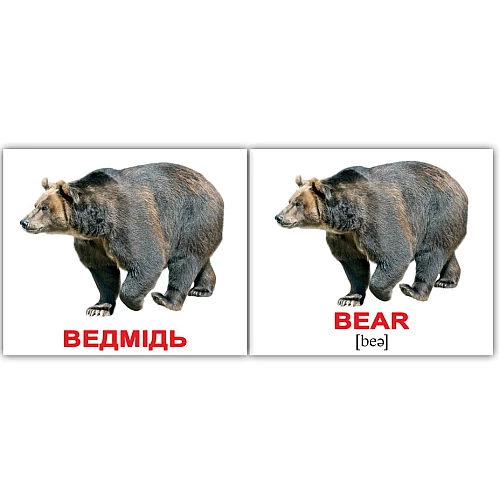 Набор карточек Домана Англо-украинский чемоданчик (400 карточек)