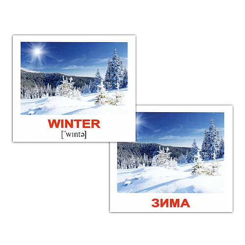 Набор карточек Домана Англо-украинский чемоданчик (1386 карточек)