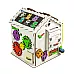 Развивающая игрушка Бизидом 30х30х40 см
