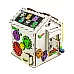 Развивающая игрушка Бизидом 30х30х40 см