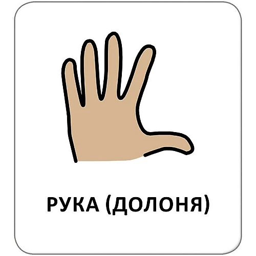 Обучающие карточки Гигиена. Мое тело