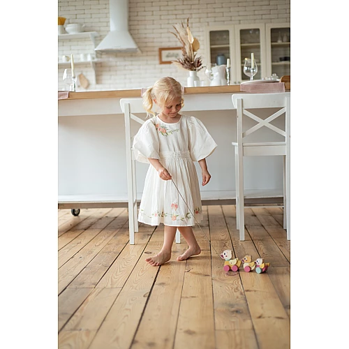 Розвиваюча іграшка-каталка Качки