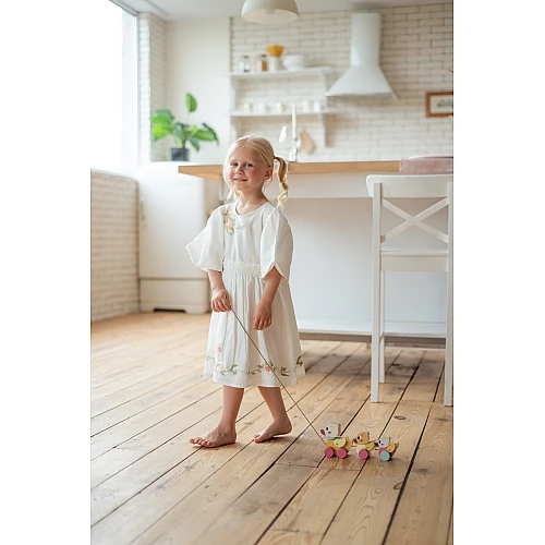 Розвиваюча іграшка-каталка Качки