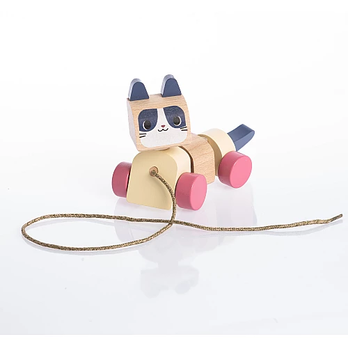 Розвиваюча іграшка-каталка Котик