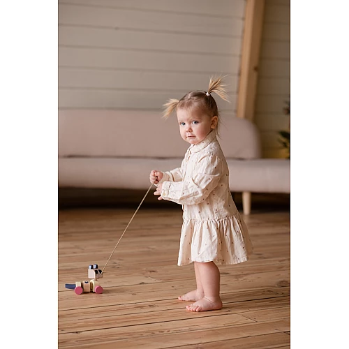 Розвиваюча іграшка-каталка Котик