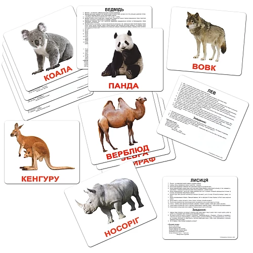Набор карточек Домана Мой первый чемоданчик (100 карточек)